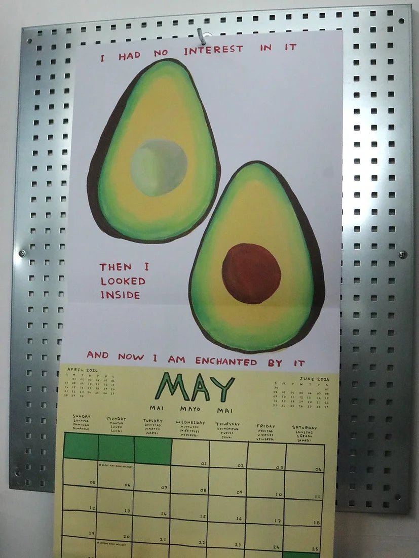 David Shrigley - Calendrier 2024 - Le Taudis